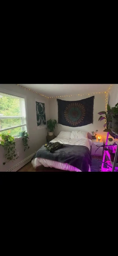 2 bedrooms available in 4 bedroom apartment for September 1st Image# 1