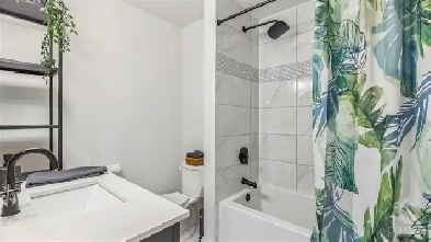 Private Room for Rent Image# 4