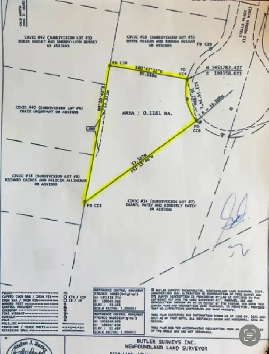 LAND FOR SALE - DEER LAKE - WESTERN NEWFOUNDLAND AND LABRADOR Image# 9