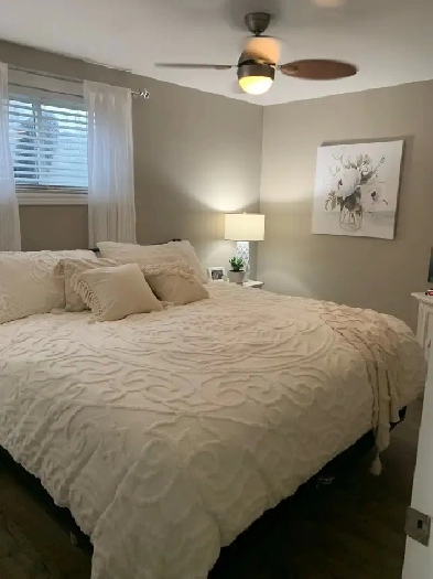 Apartment for rent Image# 5