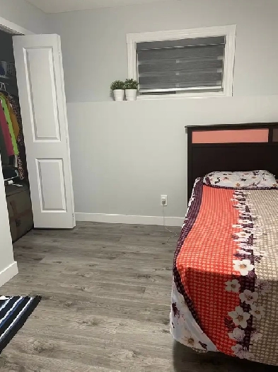 Room for Rent Image# 4