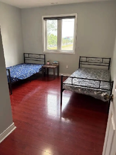 room for rent as soon as possible or Aug 15 or September 1 Image# 1