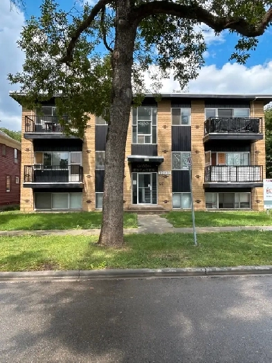 Move in Ready Apartment in the heart of Strathcona old rail comm Image# 7