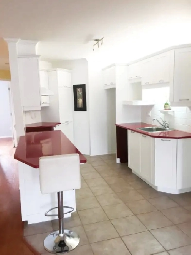 Condo 4 1/2 à louer Longueuil (Saint-Hubert) Image# 9