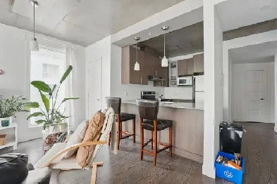 Modern 2-Bedroom Apartment for Rent In Gatineau Image# 6