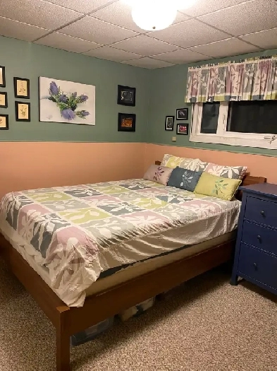 Furnished 2 Bedroom Basement Suite for Rent in Riverdale Image# 9