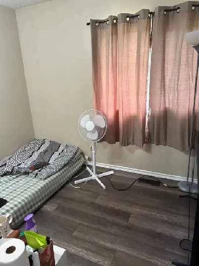 Private room available for girl from August 15 or September 1st Image# 3