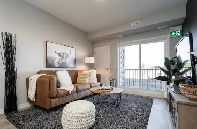 1 bedroom apartment for rent Image# 4
