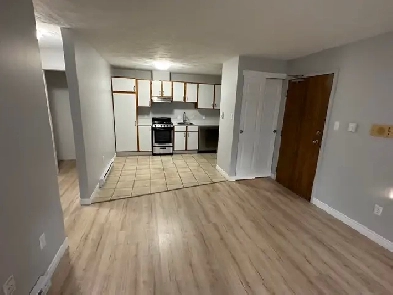 One Bedroom Basement Apartment Image# 5