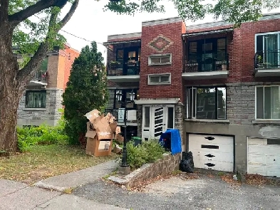 Grand 5-1/2 fraichement renover a louer dans Nouveau Rosemont Image# 1