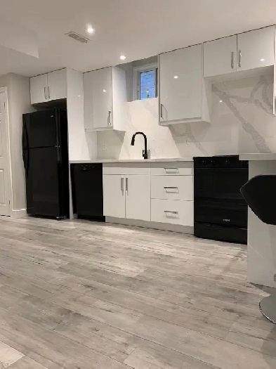 1 Bed 1 Bath - House(basement )in Keswick Image# 3