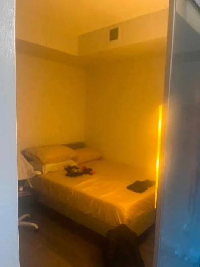 ️ Short-Term Room for Rent – Downtown Toronto (Sep–Dec) Image# 1