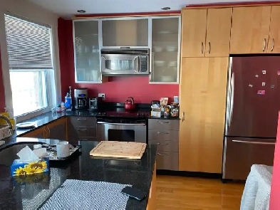 1 bed for rent in Glebe Image# 3