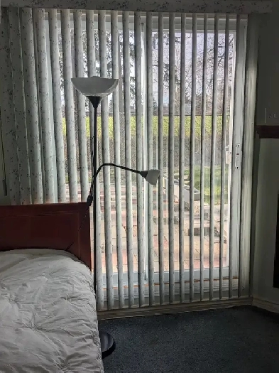 Beautiful Furnished First Floor Room -near Port Union & 401 Image# 1