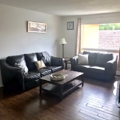 Fully Furnished Downtown Condo Image# 3