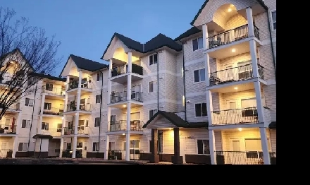 1-BEDROOM CONDO NE Edmonton, top floor, pet friendly, 18  only Image# 10