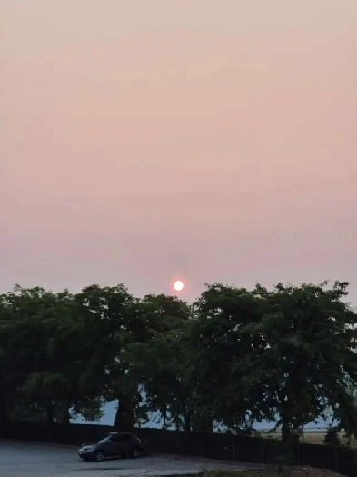 1 Private Bedroom for rent Image# 1