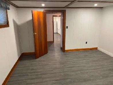 Renovated Basement in Prime Newmarket Location - Near GO Station Image# 3