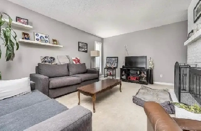 Large executive family home on South Hill Image# 8