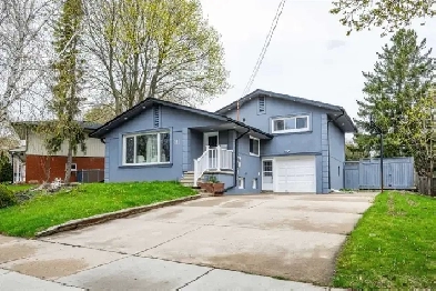 2-Bed basement apartment in Kitchener available Image# 1