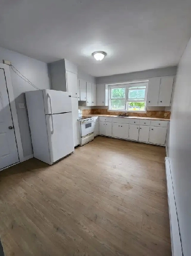 Freshly renovated 2 bedroom apt for rent in Chatham Image# 1