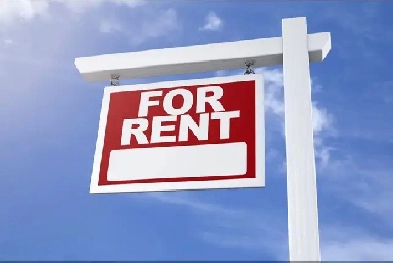 Room for rent sharing (Finch and Islington) Image# 1