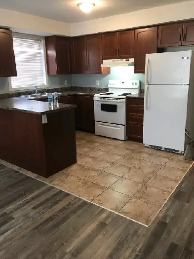 Bachelor apartment on third floor for rent. Image# 2