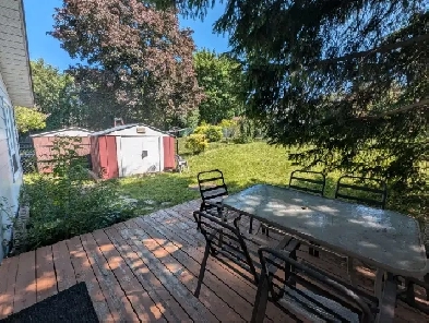 sunny ☀️ furnished 1Bedroom  1bath - New Market Image# 3