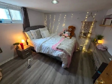 Prime Old North Room for Rent London ON Western Image# 2