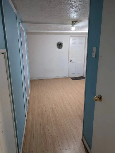 Need Girl roommate in basement of malton Image# 3