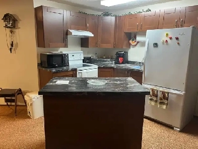 Furnished basement suite Image# 2