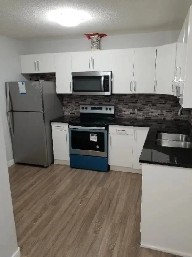 BRAND NEW! Clean two bedroom walkout basement Image# 5