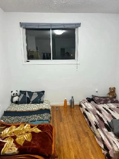 Private room on Rent for a Girl Image# 4