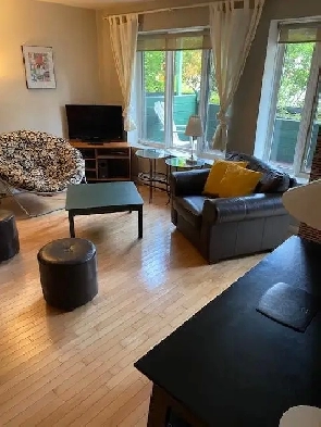 Plateau - Superbe Condo 3 1/2 Meublé au Rez-De-Jardin Image# 2