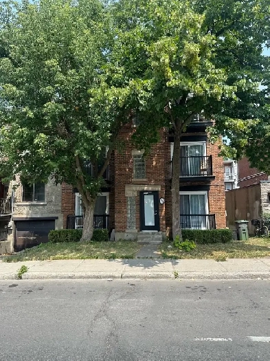 Villeray Image# 2