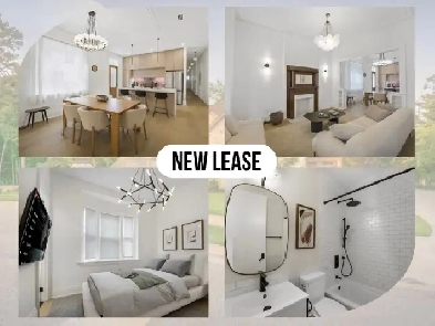 Fully Renovated & Beautiful 3 bedroom house for Rent in Toronto Image# 11