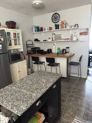2 bedroom 1 bathroom fully furnished for rent September 1 Image# 4