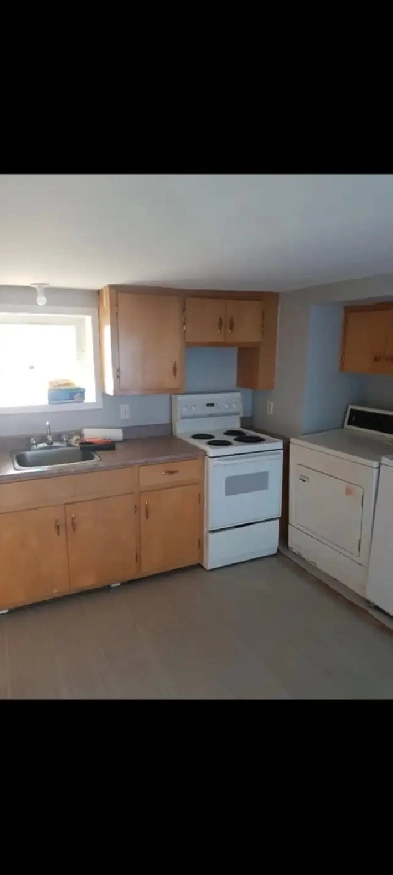 1 Bedroom Basement Apartment Image# 1