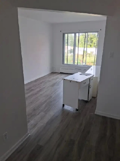 Apartments for rent at Rue Beaubien Room $600/m 3Bed $1500 Image# 7