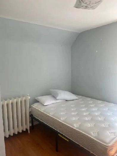 Rooms for rent, steps from dalhousie/kings Image# 4