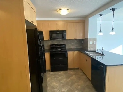 Sunny, Top Floor-South Facing, One Bedroom Apartment - Kingsland Image# 11