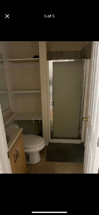 Room for rent (meadows Edmonton) Image# 5