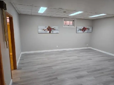 Newly renovated one bedroom high ceiling basement for rent Image# 4