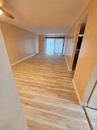 newly renovated 3 bedroom apt Sydney Image# 1
