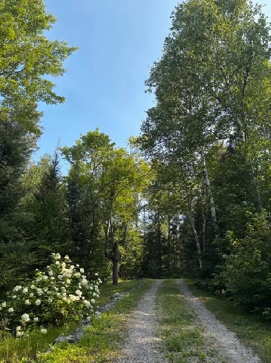 All Season Cottage Rental with Work Exchange Opportunity Image# 1