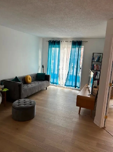 Condo insonorisé libre 1 er octobre 2025 Image# 2