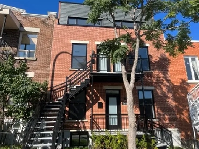 Beau 5 1/2 neuf au 2ème étage dans Rosemont, proche de Masson. Image# 1