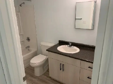 Newly Renovated 1 Bedroom Apartment for Rent second Floor Image# 3