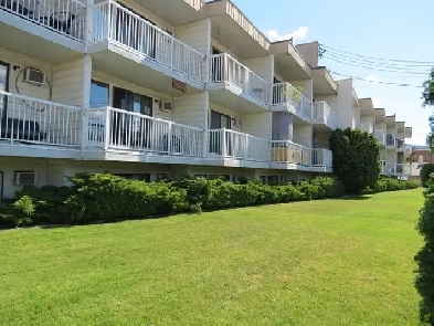 SPACIOUS - PET FRIENDLY - 1 BEDROOM & DEN Image# 2