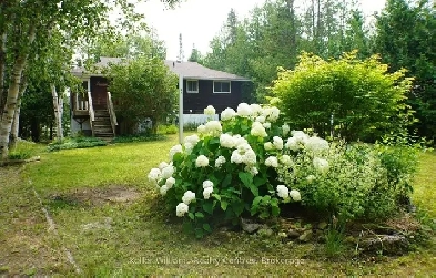 Lakeside Living at Its Best – Long-Term Waterfront Rental! Image# 5